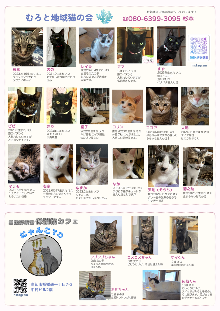 にゃんわん通信：10月号 - 高知エバー｜高知の不動産｜株式会社エバー
